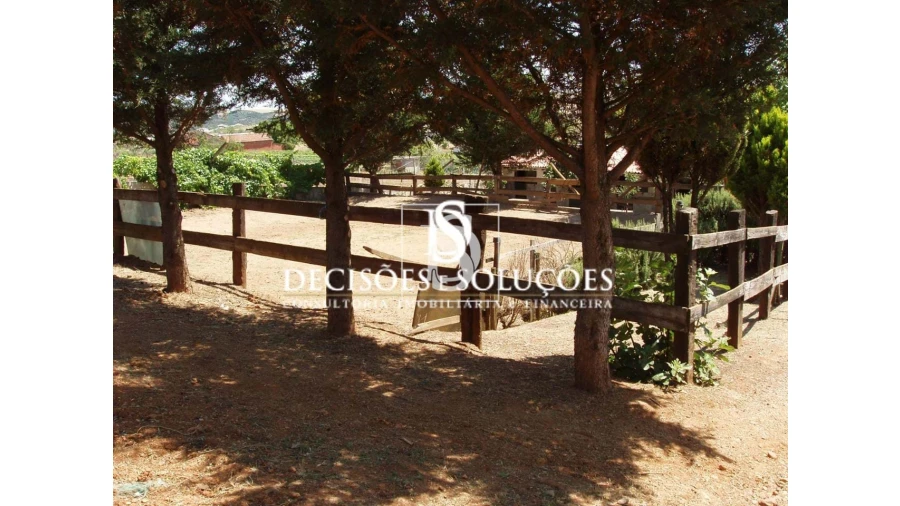 Quinta para Venda em Sé, Santa Maria e Meixedo Foto 40