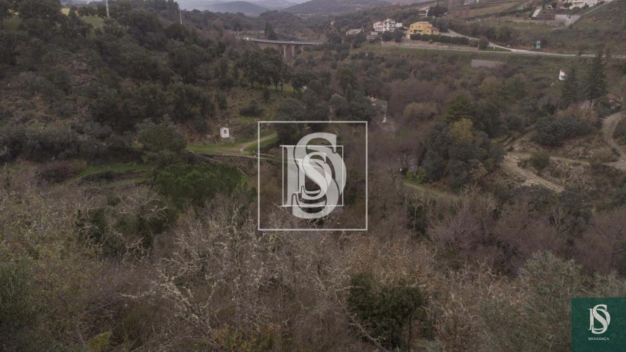 Quinta para Venda em Sé, Santa Maria e Meixedo Foto 7