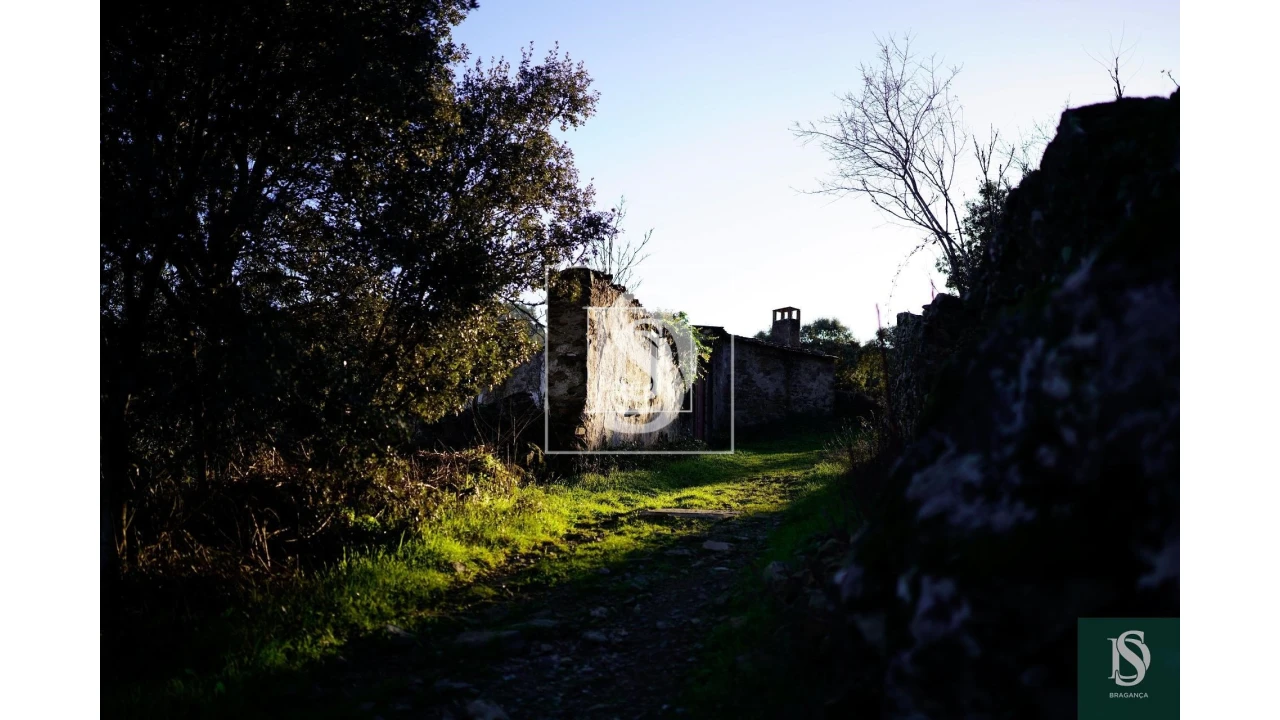 Quinta para Venda em Sé, Santa Maria e Meixedo Foto 19
