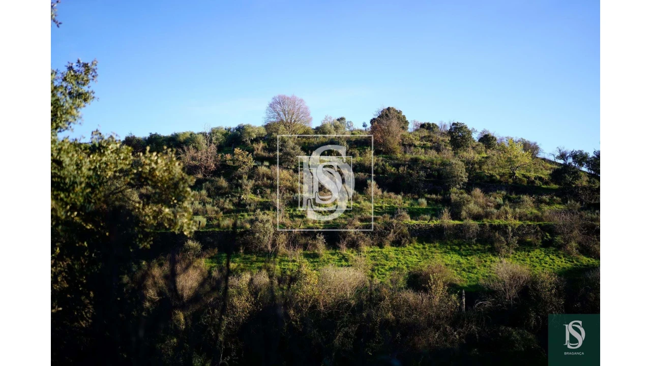 Quinta para Venda em Sé, Santa Maria e Meixedo Foto 17