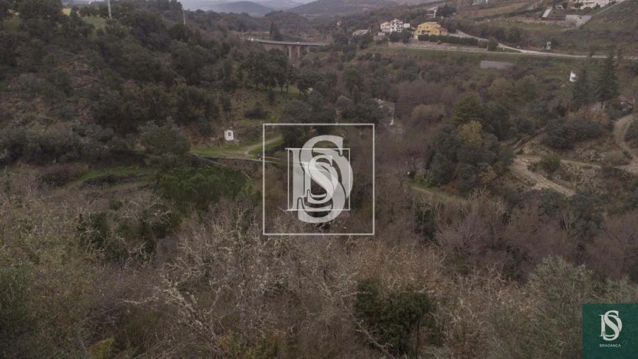 Quinta para Venda em Sé, Santa Maria e Meixedo Foto 7