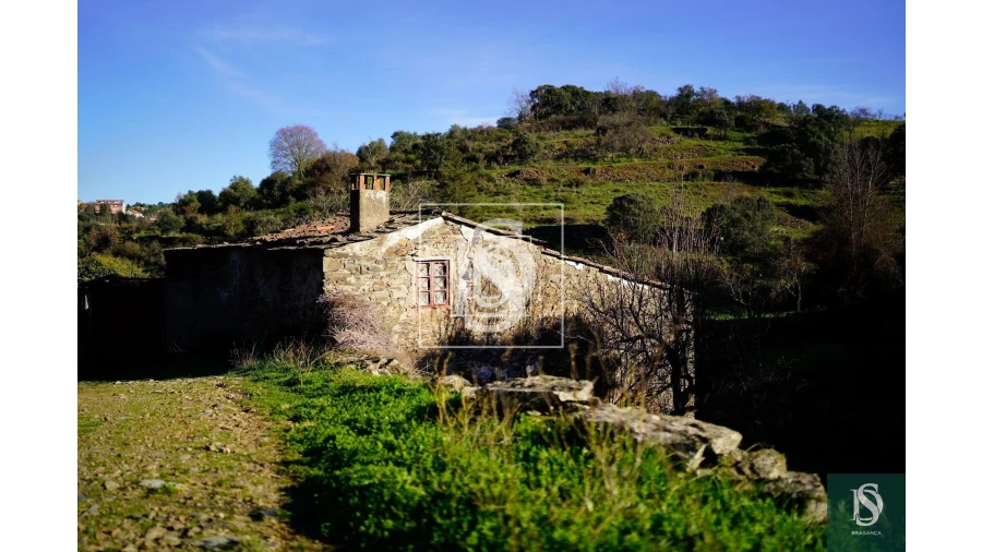 Quinta para Venda em Sé, Santa Maria e Meixedo Foto 14