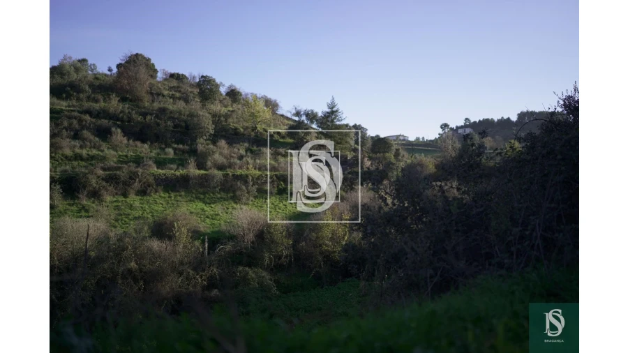 Quinta para Venda em Sé, Santa Maria e Meixedo Foto 16