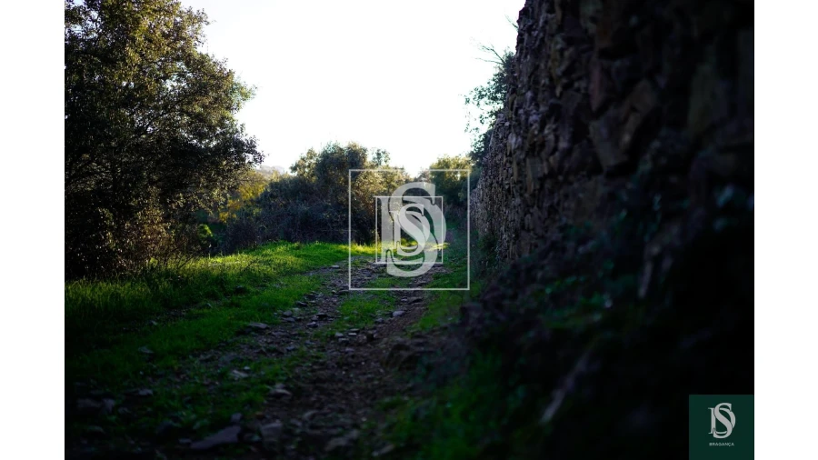 Quinta para Venda em Sé, Santa Maria e Meixedo Foto 15