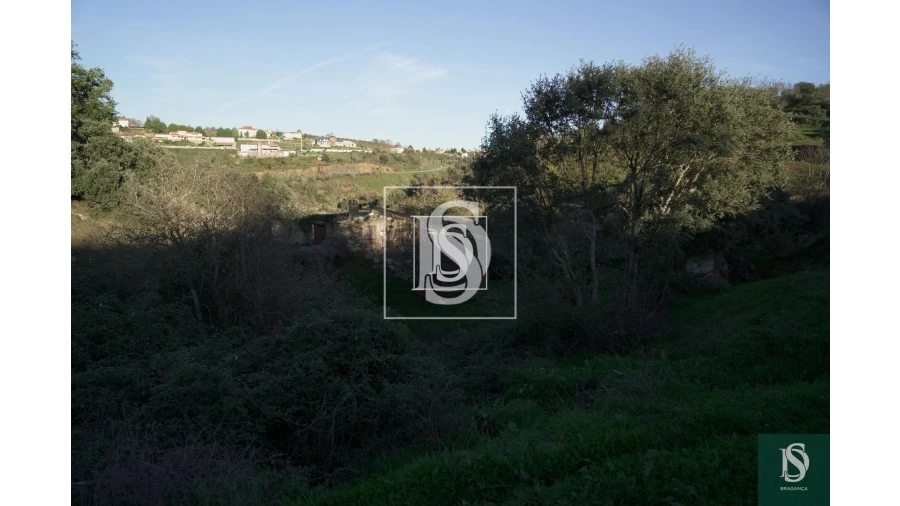 Quinta para Venda em Sé, Santa Maria e Meixedo Foto 20