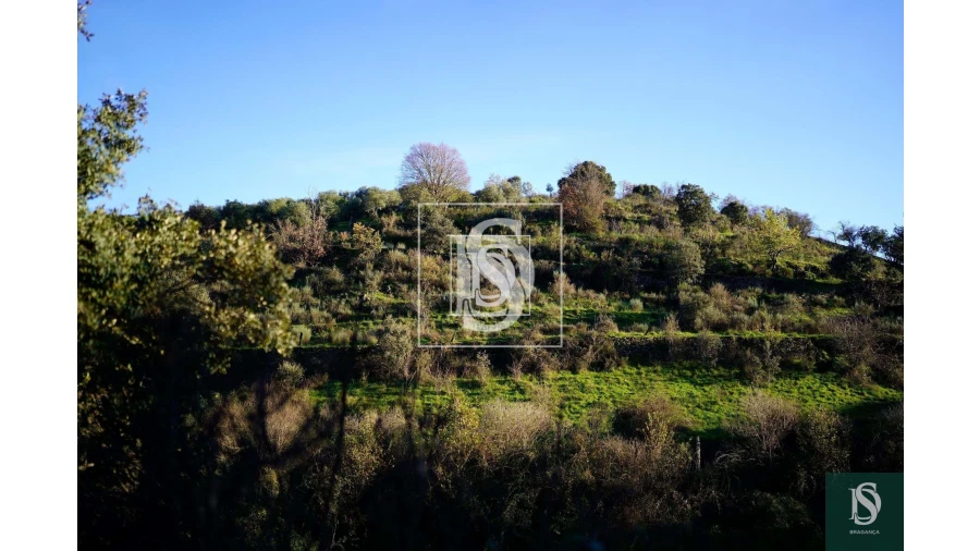 Quinta para Venda em Sé, Santa Maria e Meixedo Foto 17