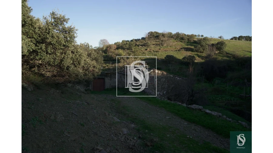 Quinta para Venda em Sé, Santa Maria e Meixedo Foto 23