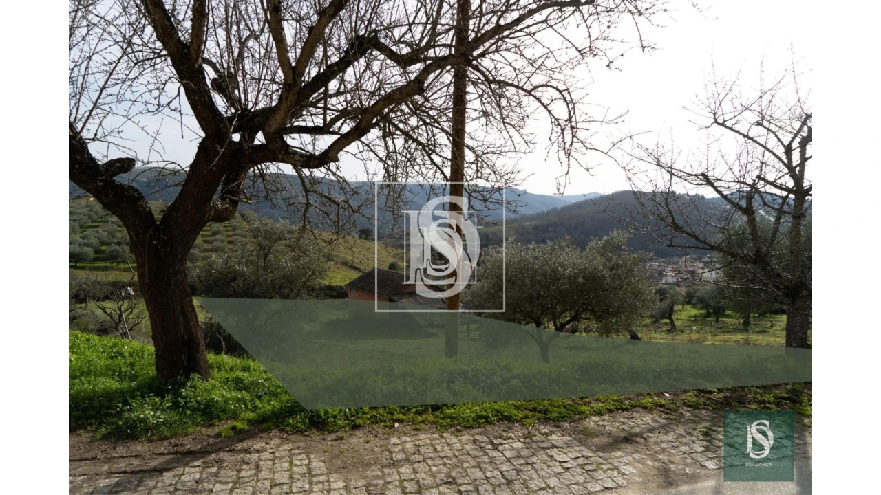 Terreno para Venda em Alfaião Foto 8