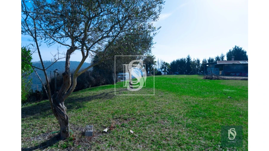 Terreno para Venda em Sé, Santa Maria e Meixedo Foto 11