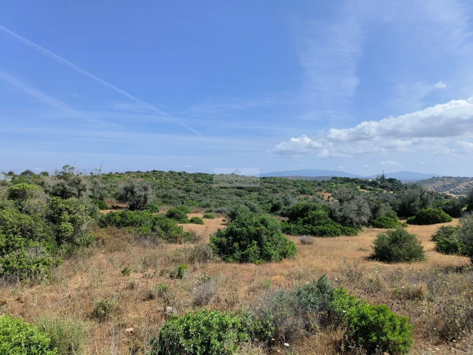 Terreno para Venda em Odiaxere Foto 10