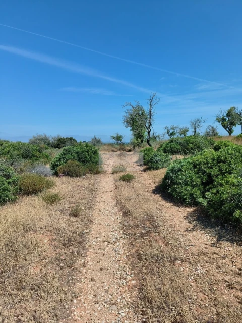 Terreno para Venda em Odiaxere