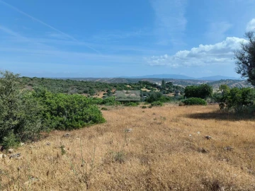 Terreno para Venda em Odiaxere