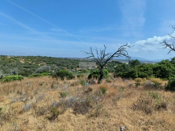 Terreno para Venda em Odiaxere