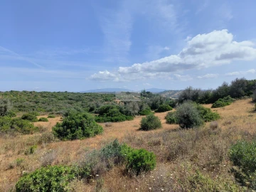 Terreno para Venda em Odiaxere