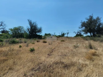 Terreno para Venda em Odiaxere