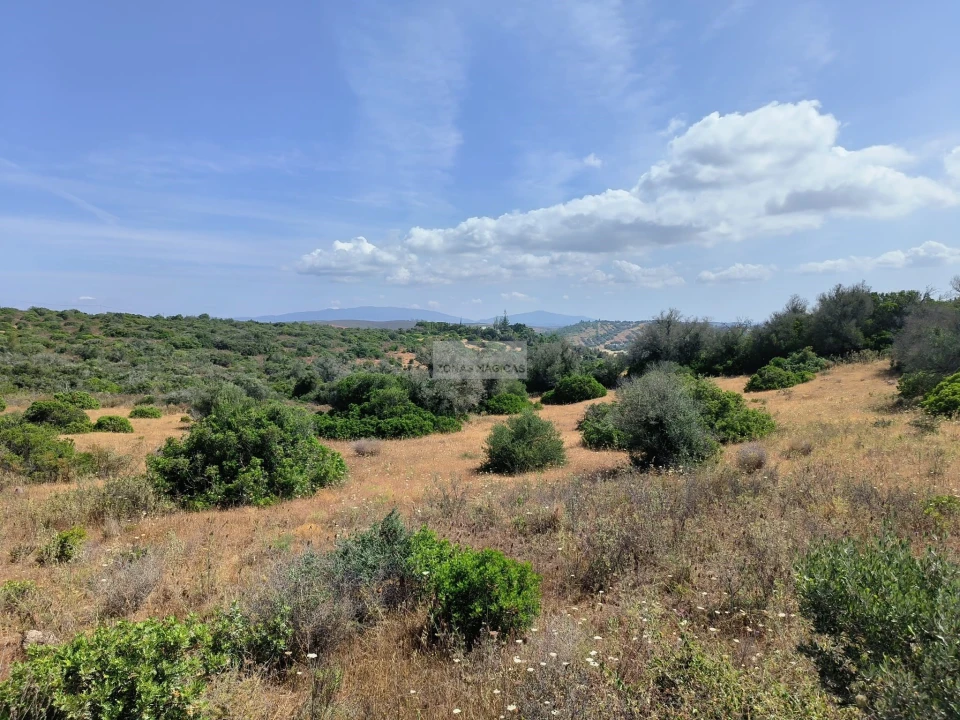 Terreno para Venda em Odiaxere Foto 11
