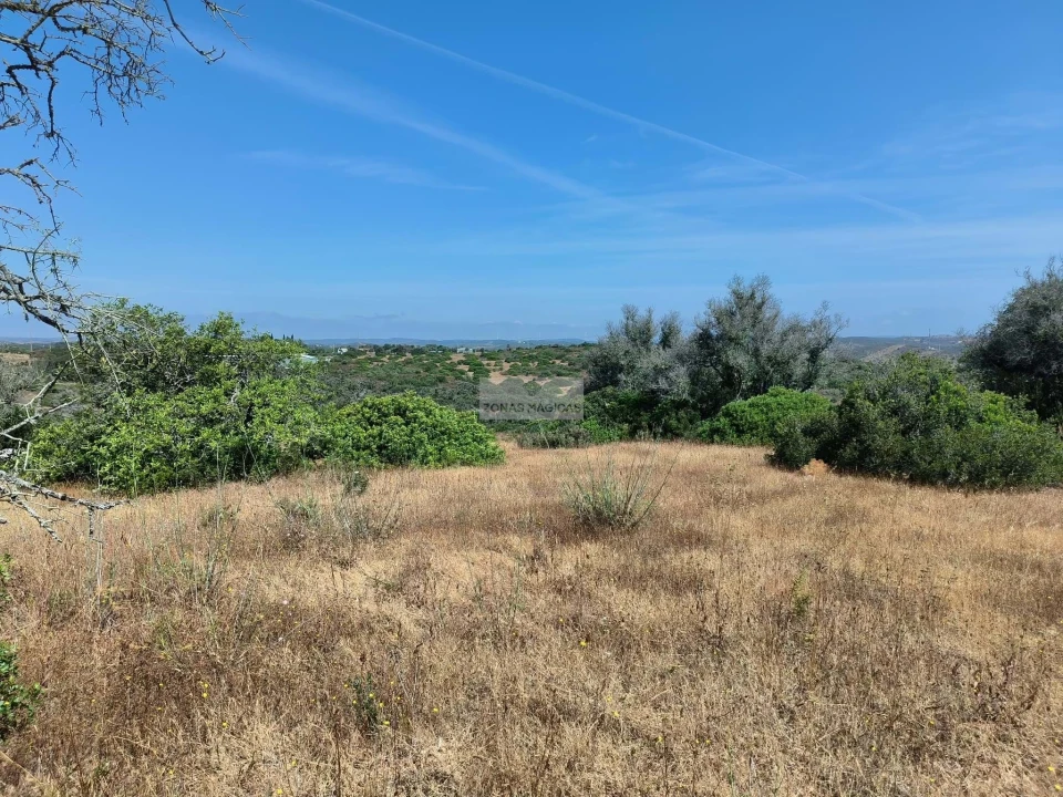 Terreno para Venda em Odiaxere Foto 3