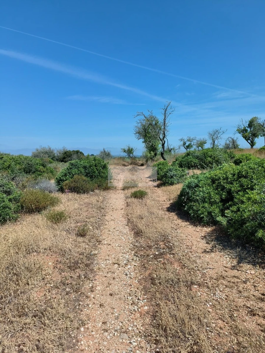 Terreno para Venda em Odiaxere