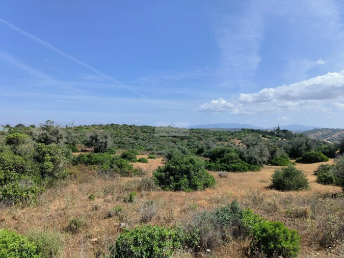 Terreno para Venda em Odiaxere Foto 10