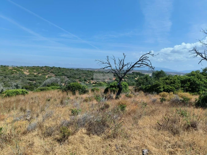 Terreno para Venda em Odiaxere Foto 6
