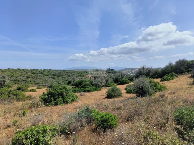 Terreno para Venda em Odiaxere Foto 9