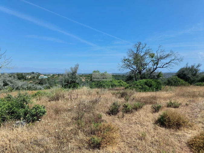 Terreno para Venda em Odiaxere Foto 2