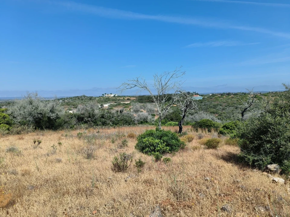 Terreno para Venda em Odiaxere Foto 5