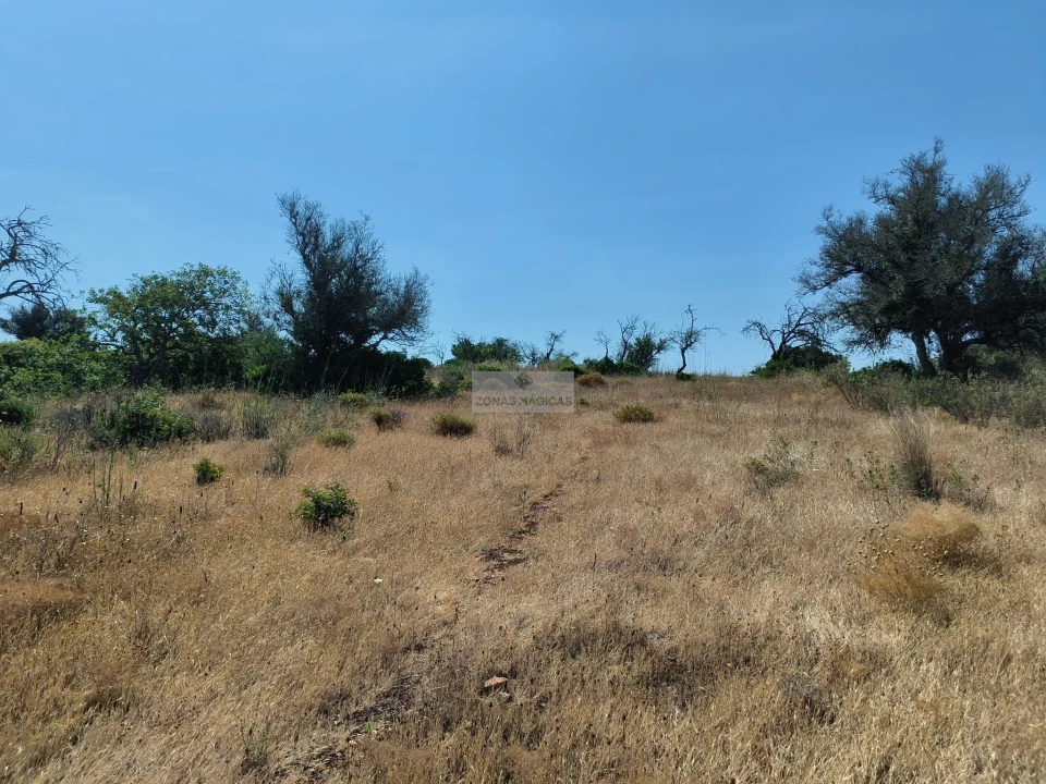 Terreno para Venda em Odiaxere Foto 8