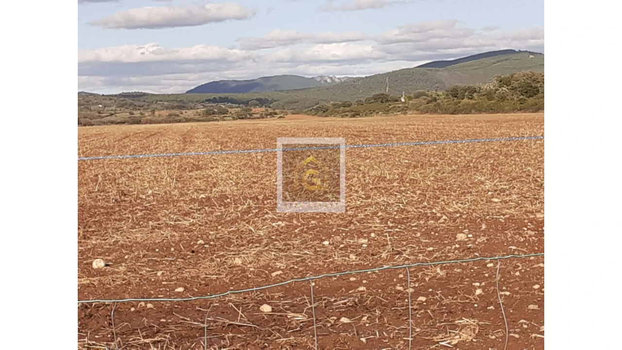 Terreno para Venda em Albernoa e Trindade Foto 4