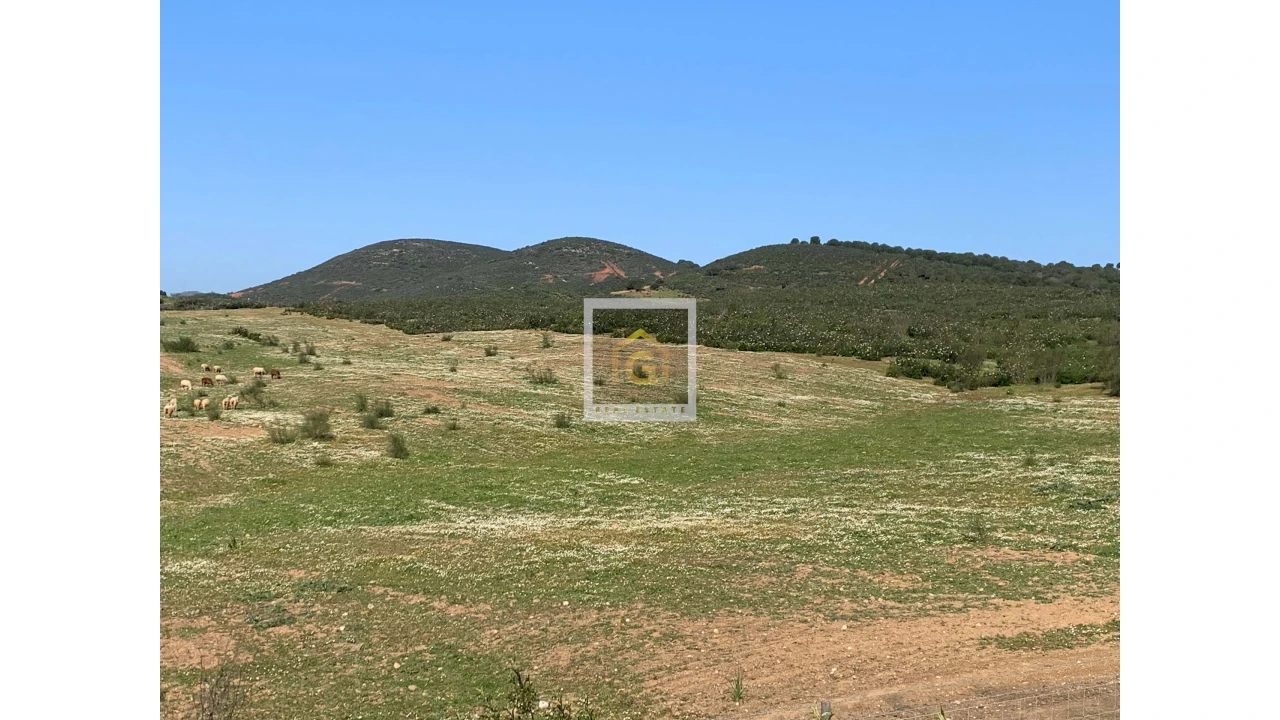 Terreno para Venda em Albernoa e Trindade Foto 2