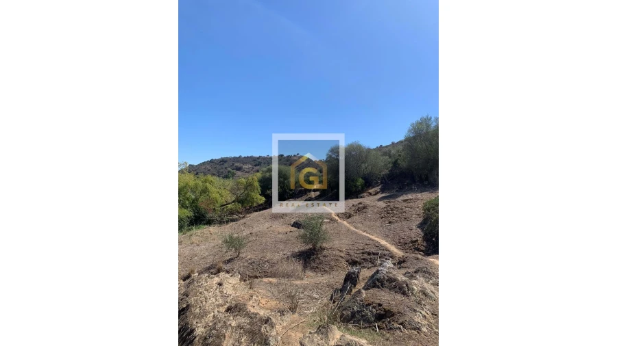 Terreno para Venda em Albernoa e Trindade Foto 5