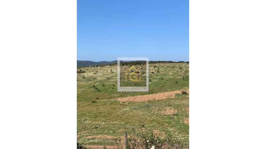 Terreno para Venda em Albernoa e Trindade Foto 3