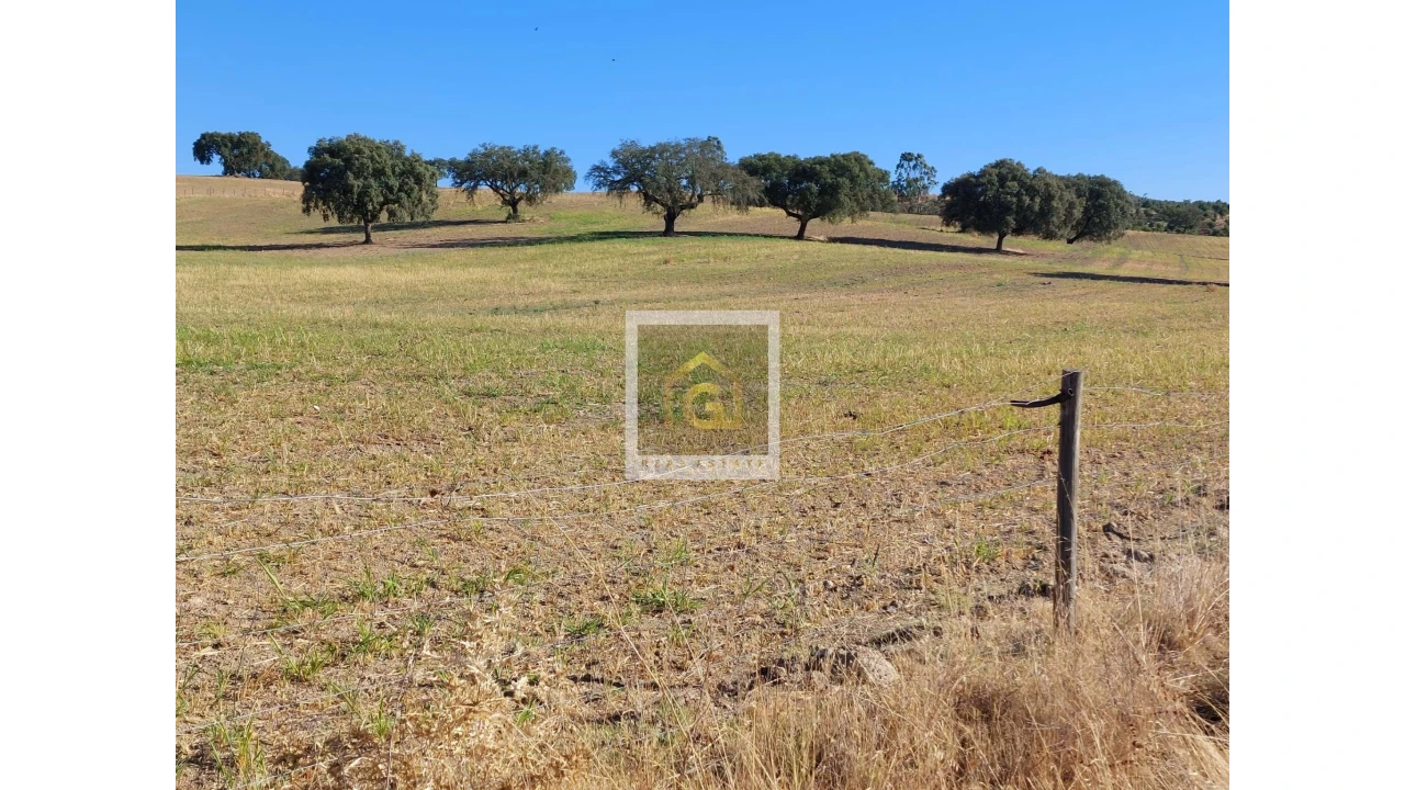 Terreno para Venda em Albernoa e Trindade Foto 1