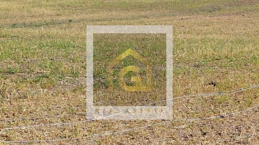 Terreno para Venda em Albernoa e Trindade