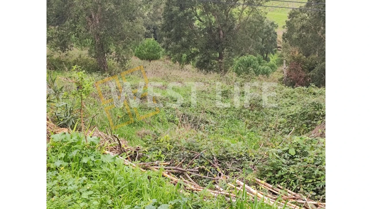 Terreno para Venda em Vilar Foto 1