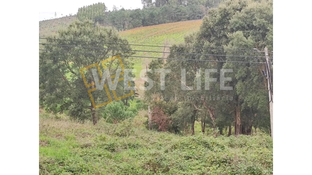 Terreno para Venda em Vilar Foto 5