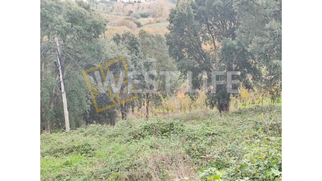 Terreno para Venda em Vilar Foto 8