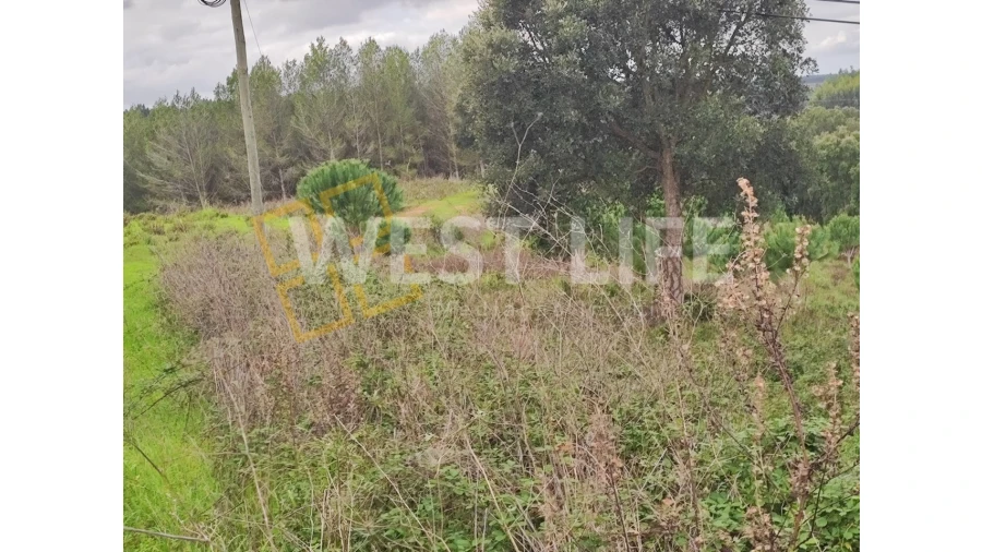 Terreno para Venda em Vilar Foto 2