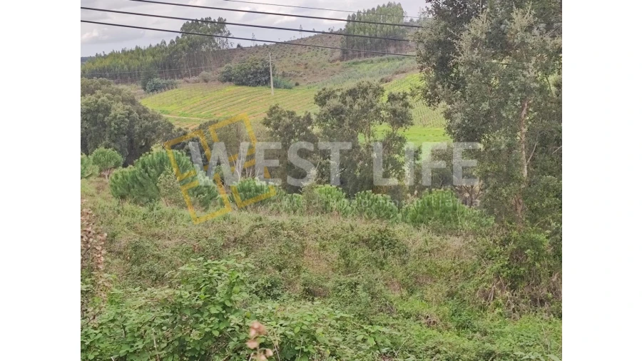Terreno para Venda em Vilar Foto 3