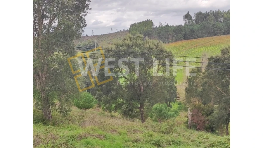 Terreno para Venda em Vilar Foto 4