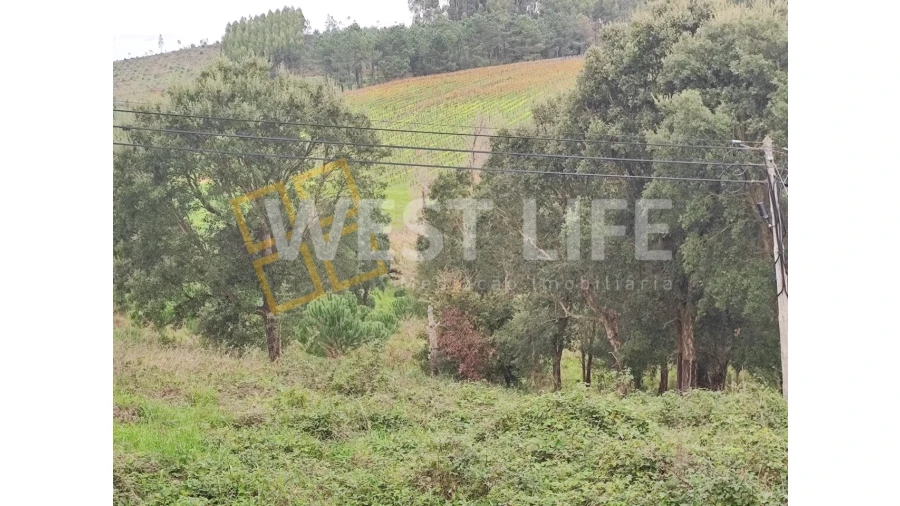 Terreno para Venda em Vilar Foto 5