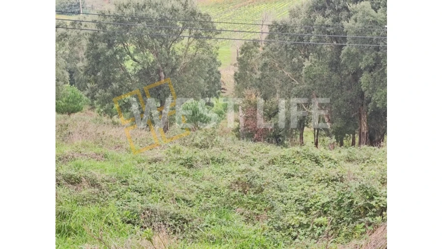Terreno para Venda em Vilar Foto 6