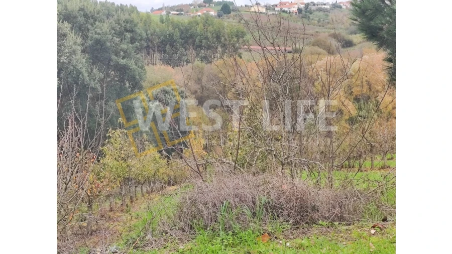 Terreno para Venda em Vilar Foto 7
