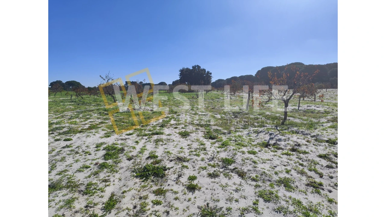 Quinta T3 para Venda em Torrão Foto 11