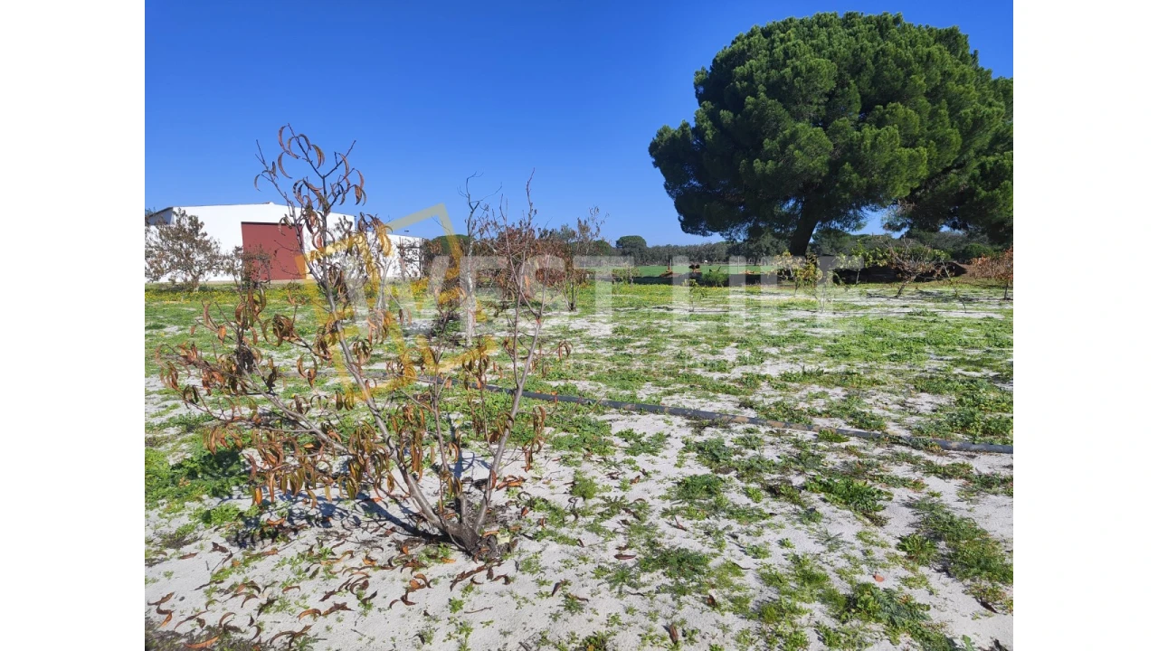 Quinta T3 para Venda em Torrão Foto 13