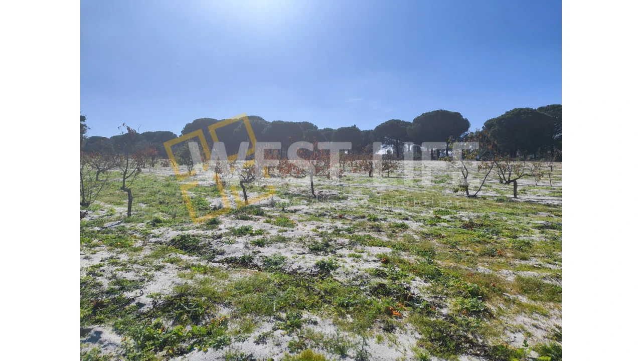 Quinta T3 para Venda em Torrão Foto 17