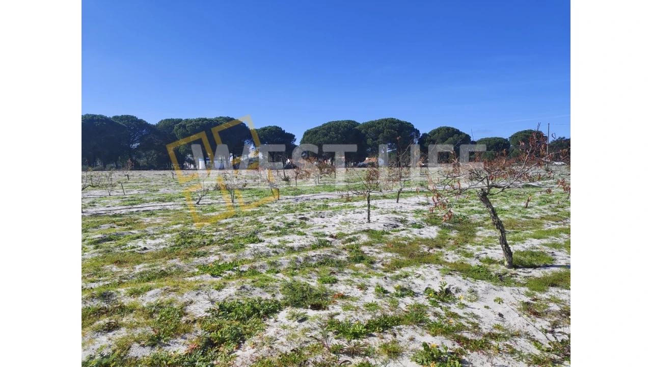 Quinta T3 para Venda em Torrão Foto 19