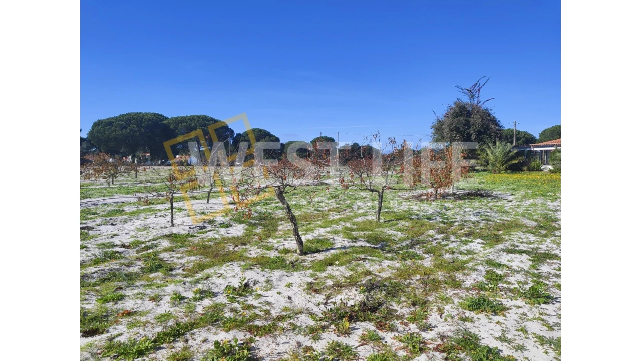 Quinta T3 para Venda em Torrão Foto 21