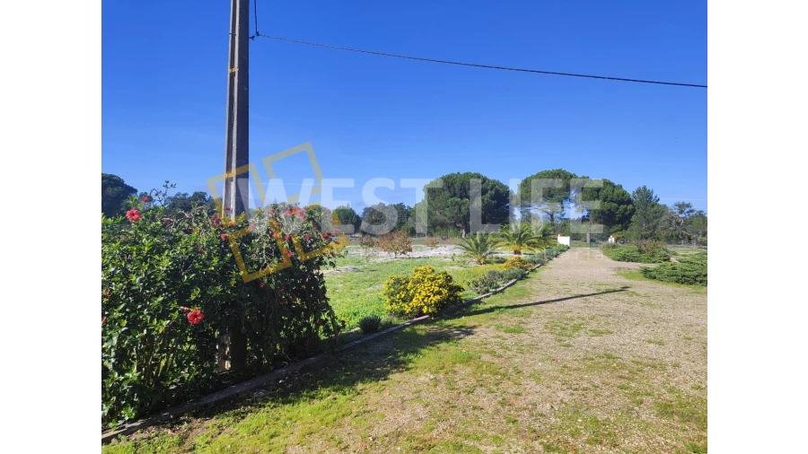 Quinta T3 para Venda em Torrão Foto 6