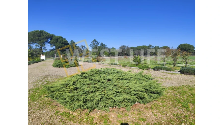 Quinta T3 para Venda em Torrão Foto 7